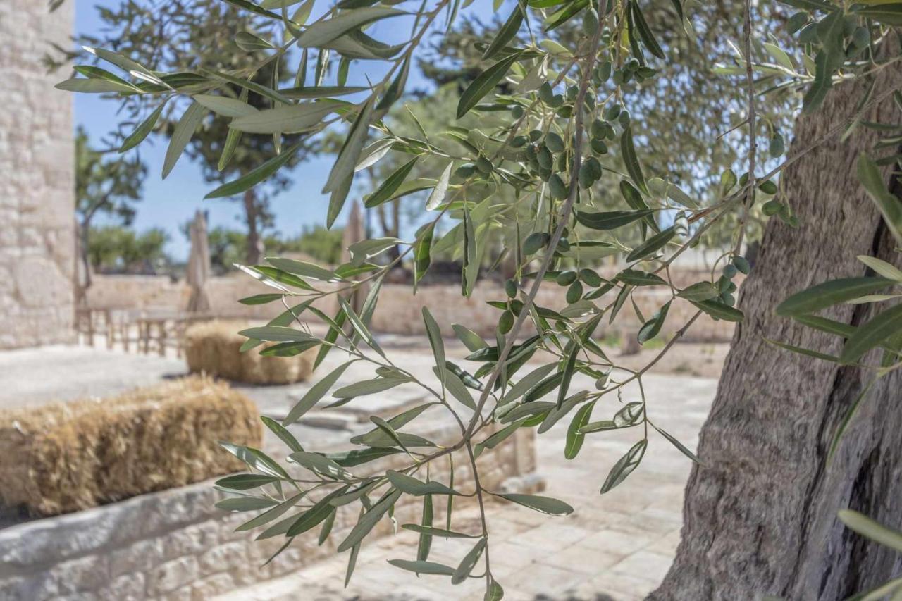 Masseria Fanizzi كونفيرسانو المظهر الخارجي الصورة