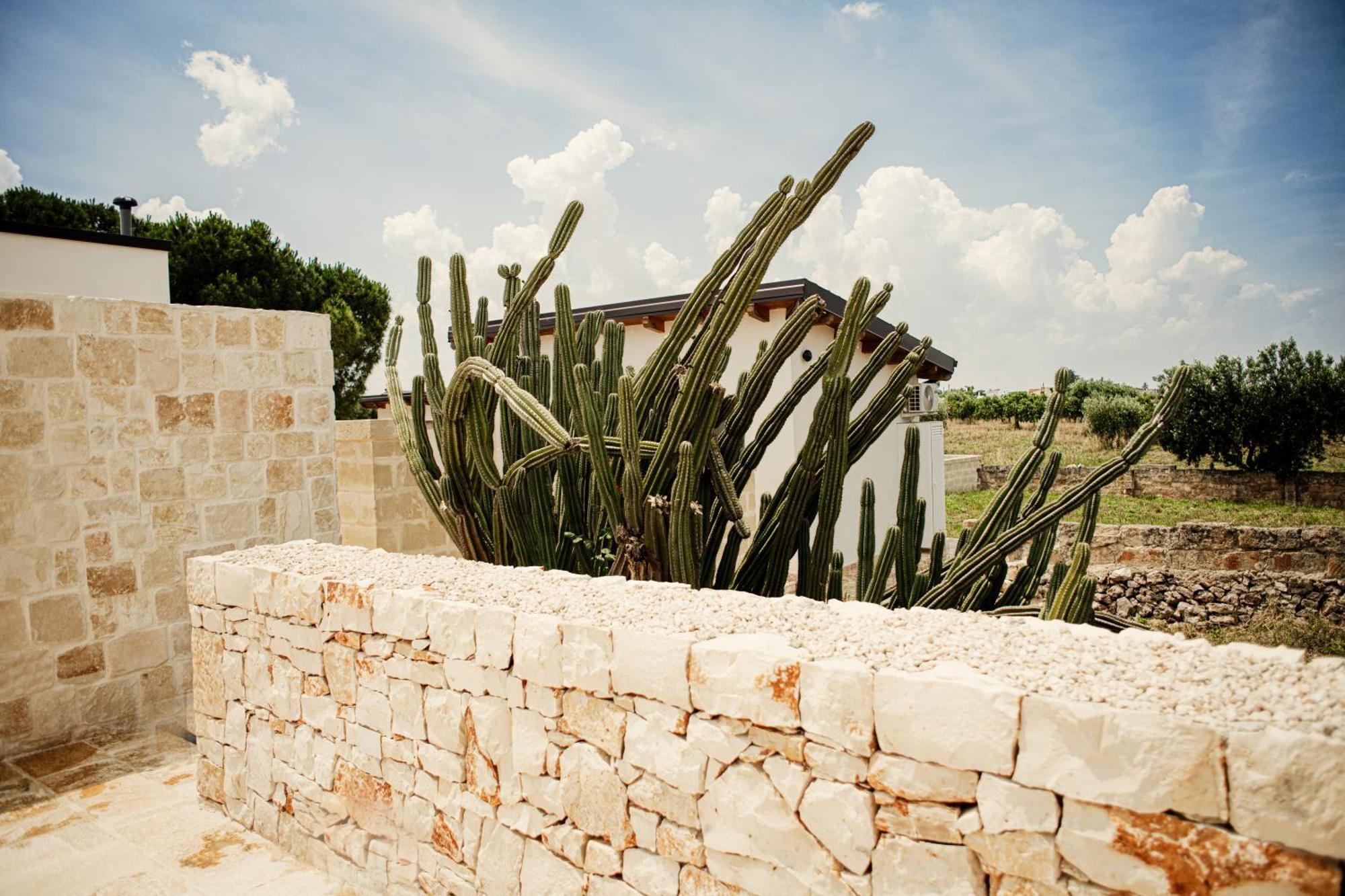 Masseria Fanizzi كونفيرسانو المظهر الخارجي الصورة