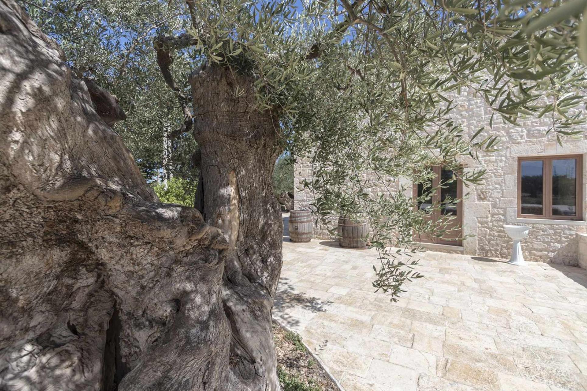 Masseria Fanizzi كونفيرسانو الغرفة الصورة