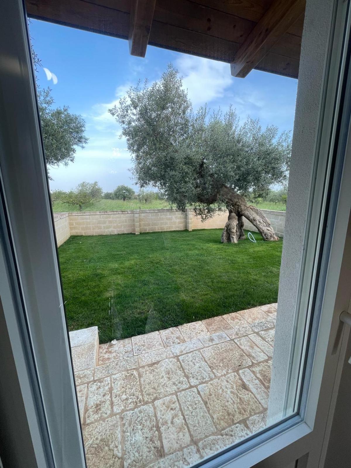 Masseria Fanizzi كونفيرسانو الغرفة الصورة